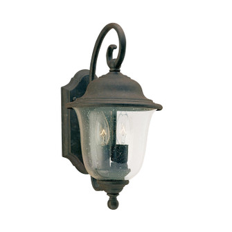 Trafalgar Two Light Outdoor Wall Lantern in Oxidized Bronze (1|8459EN-46)