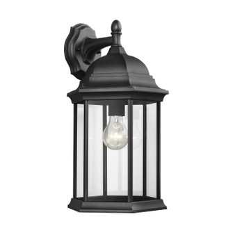 Sevier One Light Outdoor Wall Lantern in Black (1|8438701-12)