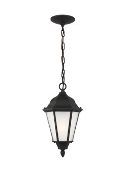 Bakersville One Light Outdoor Pendant in Black (1|60941-12)