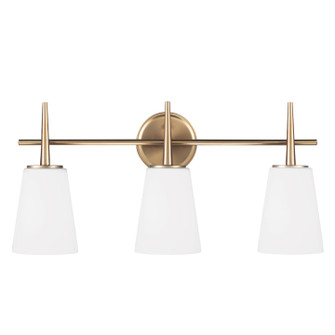 Driscoll Three Light Wall / Bath in Satin Brass (1|4440403EN3-848)