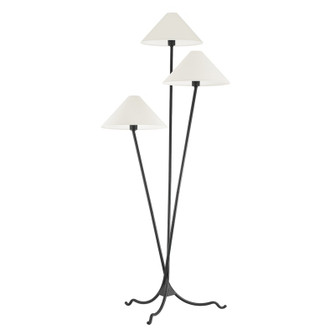 Cedar Three Light Floor Lamp in Forged Iron (67|PFL1770-FOR)