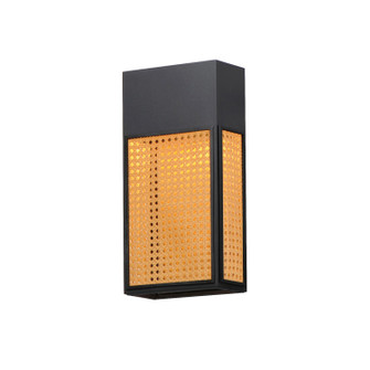 Lattice LED Outdoor Wall Sconce in Black (16|54804RABK)