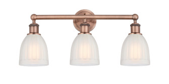 Edison Three Light Bath Vanity in Antique Copper (405|616-3W-AC-G441)