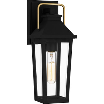 Buckley One Light Outdoor Wall Mount in Matte Black (10|BUK8405MBK)