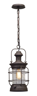 Atkins One Light Hanging Lantern in Centennial Rust (67|F5057-HBZ)