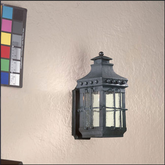 Dover One Light Wall Lantern in Natural Bronze (67|B8970-TBK)