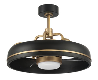 Taylor 20'' Ceiling Fan in Flat Black/Satin Brass (46|TYL24FBSB3)