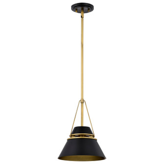 Adina One Light Pendant in Matte Black (72|60-7767)