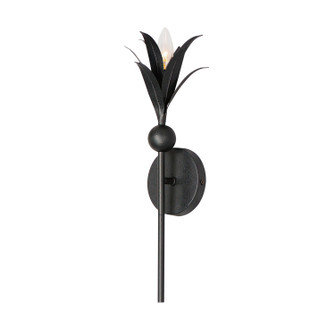 Paloma One Light Wall Sconce in Anthracite (16|2881AR)