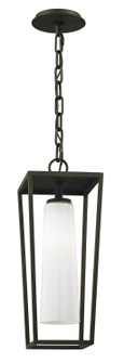 Mission Beach One Light Hanging Lantern in Textured Black (67|F6357-TBK)