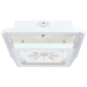 LED Wide Beam Angle Canopy in White (72|65-635)