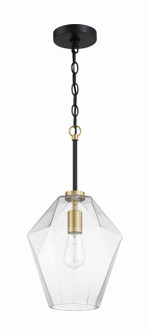 Avante Grand One Light Pendant in Flat Black/Satin Brass (46|56992-FBSB)