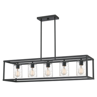 New Harbor Five Light Linear Chandelier in Old Bronze (10|NHR5538OZ)