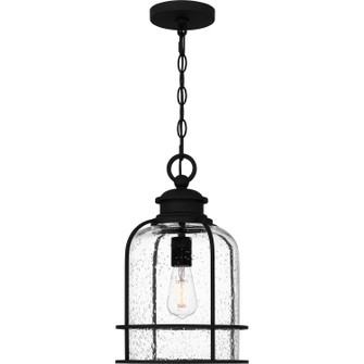 Bowles One Light Outdoor Hanging Lantern in Earth Black (10|BWE1910EK)