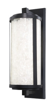 Salt Creek LED Outdoor Wall Sconce in Coal Black (7|8183-66A-L)