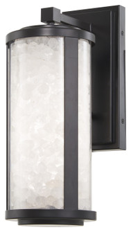 Salt Creek LED Outdoor Wall Sconce in Coal Black (7|8181-66A-L)