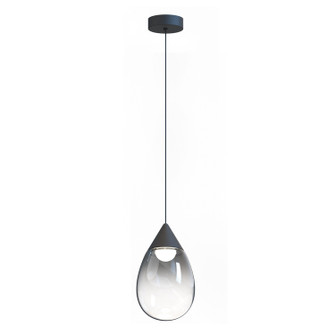 Dewdrop LED Pendant in Black (86|E21562-142BK)
