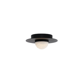 Landed LED Flush Mount in Black (281|FM-16412-BK)