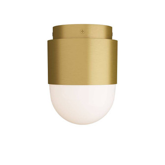 Allentown Flush Mount in Antique Brass (314|DFC07)