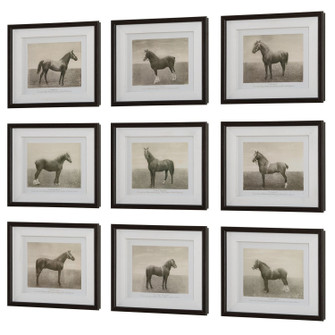 Equine Dynasty Framed Prints, S/9 in Dark Walnut (52|32343)