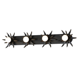 Paloma Four Light Wall Sconce in Anthracite (16|2887AR)