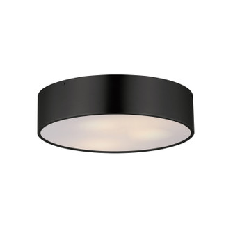 Tommy Three Light Surface Mount in Black (16|10496WTBK)