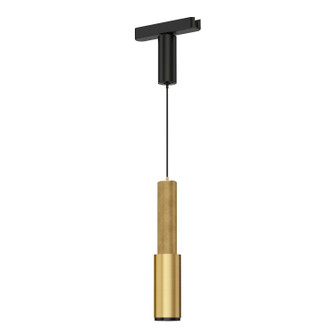 Continuum - Track LED Track Pendant in Natural Aged Brass (86|ETL31622-NAB)