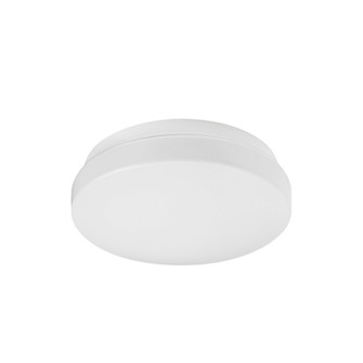 Collins LED Flush Mount in White (347|FM9711-WH-5CCT)
