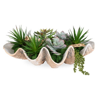 Seaside Breeze Succulents in Natural (52|60233)