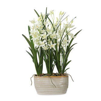 Ariana Orchid Planter in Cream (52|60227)