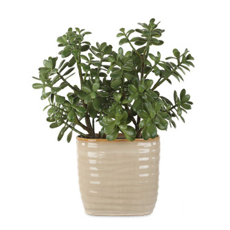 Crassula Jade Accent Plant in Textured Tan (52|60226)