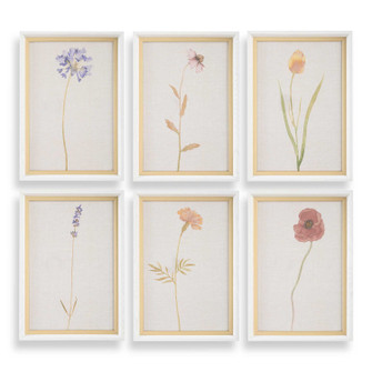 Wild Flourish Framed Print in White Wood (52|32384)