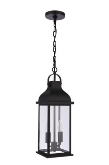 Bent Tree Two Light Outdoor Pendant in Midnight (46|ZA7211-MN)