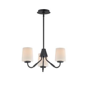 Durham Three Light Chandelier in Black (16|12695WTBK)