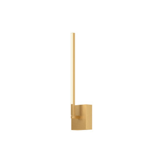 Pandora LED Wall Sconce in Brushed Gold (347|WS25118-BG-UNV)