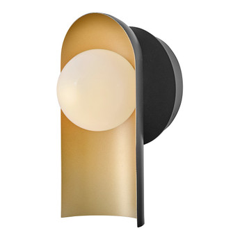 Zuri LED Wall Sconce in Black (531|84230BK-LCB)