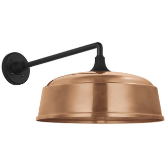 Academy Barn Light LED Barn Light in Matte Black (268|TOB 2812MBK/S7-SC)