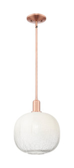 Arcadia One Light Mini Pendant in Antique Copper (405|716-1S-AC-G481-10OP)