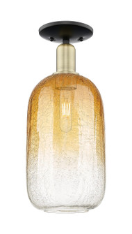 Arcadia One Light Semi-Flush Mount in Black Antique Brass (405|716-1C-BAB-G482-7AM)