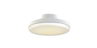 TriAire Custom LED Light Kit in Matte White (26|LK8505MWW)