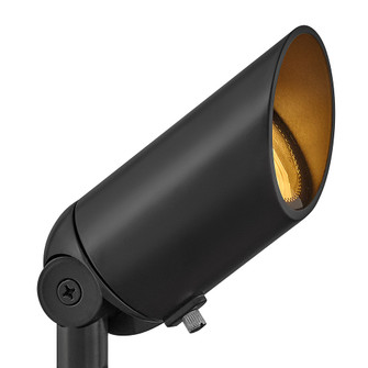 Hardy Island Accent Spot Light LED Spot Light in Brass Satin Black (13|1536BSK-LL)