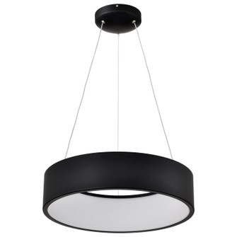 Orbit LED Pendant in Black (72|62-1456R1)