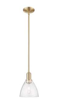 Arcadia One Light Mini Pendant in Champagne Bronze (405|716-1S-CB-GBD-754)