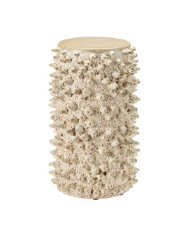 Relic Accent Table in Sand (142|3000-0333)