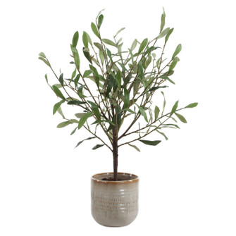 Solea Olive Vase in Green And Silvery (52|60264)