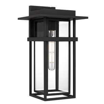 Morgan One Light Outdoor Wall Lantern in Earth Black (10|MORG8410EK)