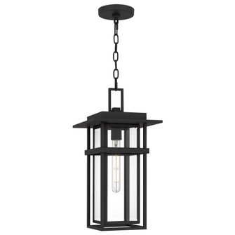 Morgan One Light Outdoor Hanging Lantern in Earth Black (10|MORG1910EK)