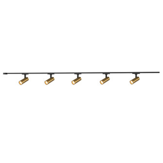 Paolo LED Ceiling Kit in Brushed Gold (347|TR5C4-S25925-BG)