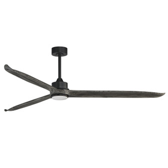 Woodwind 80'' Ceiling Fan in Black (16|88834WTBKGWD)