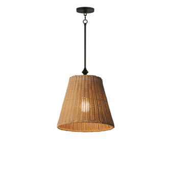 Baja One Light Pendant in Dark Bronze (16|21486NADBZ)